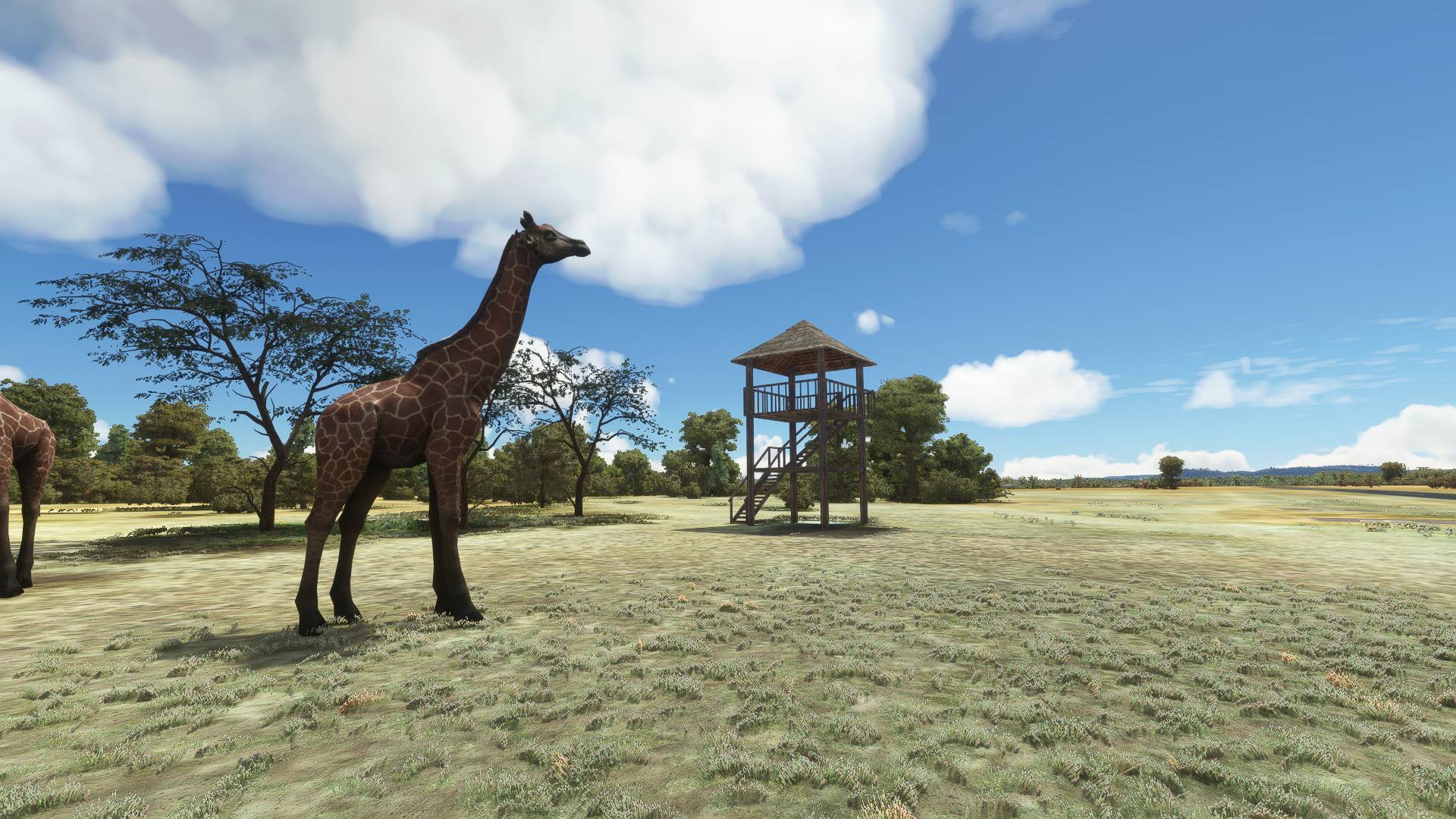 FAWX Zebula Golf Estate and Spa V1.3 (MSFS20) - Image 4