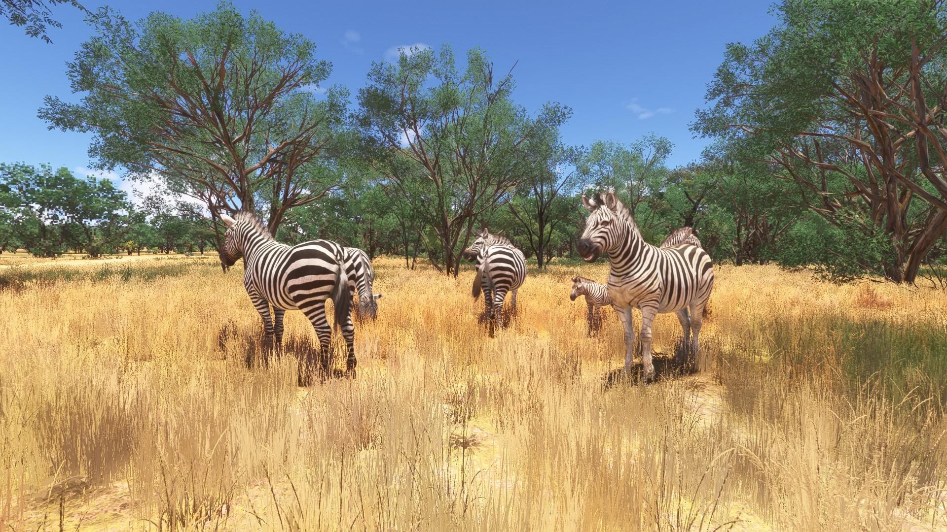 FAWX Zebula Golf Estate and Spa V1.3 (MSFS24) - Image 11